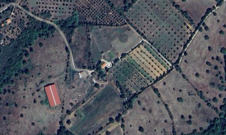 AZIENDA AGRICOLA A SCANSANO
