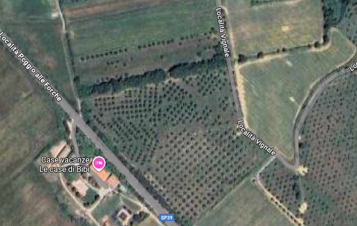TERRENO AGRICOLO e VIGNETO Piombino (LI) – Riotorto