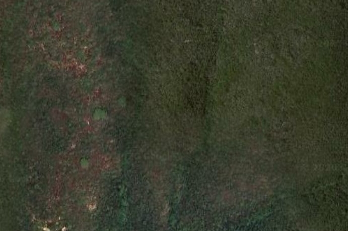 TERRENO AGRICOLO e RUDERE Campiglia Marittima (LI)