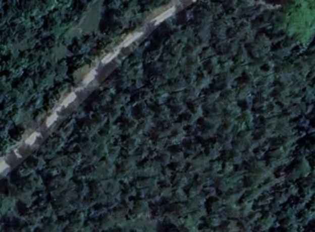 TERRENO BOSCHIVO Piancastagnaio (SI)