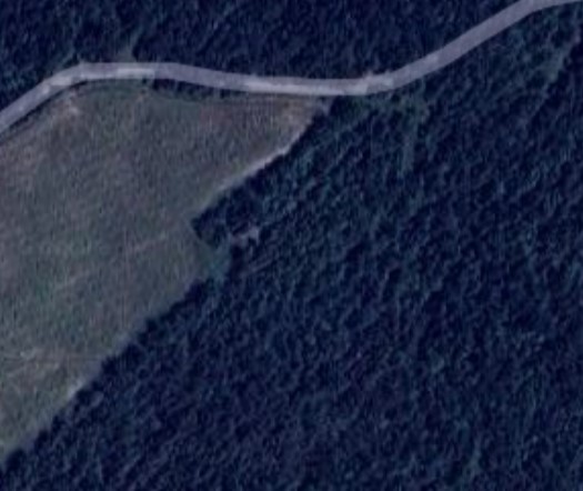 TERRENO BOSCHIVO Piancastagnaio (SI)