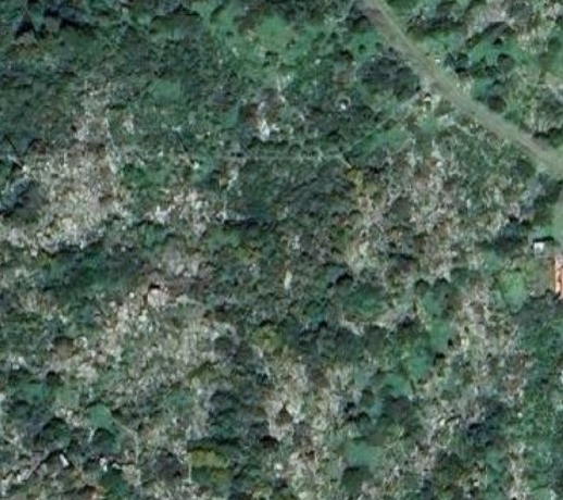 TERRENO AGRICOLO Capraia Isola (LI)