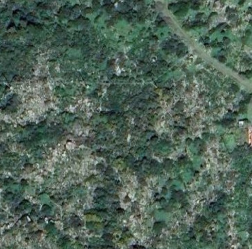 TERRENO AGRICOLO Capraia Isola (LI)