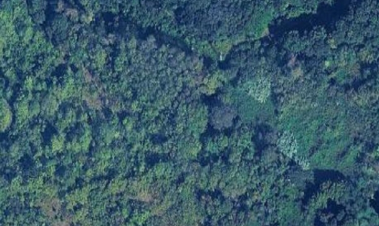 TERRENO AGRICOLO Collesalvetti (LI) – Colognole