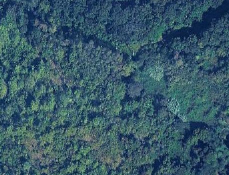 TERRENO AGRICOLO Collesalvetti (LI) – Colognole