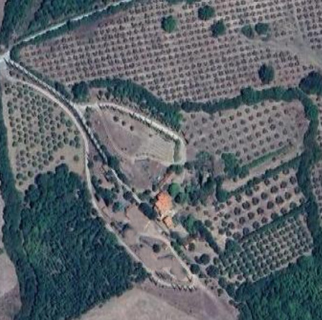 AZIENDA AGRICOLA IN LOC MARRUCHETI