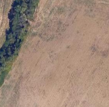 ANNESSO E TERRENO AGRICOLO Poggibonsi (SI)